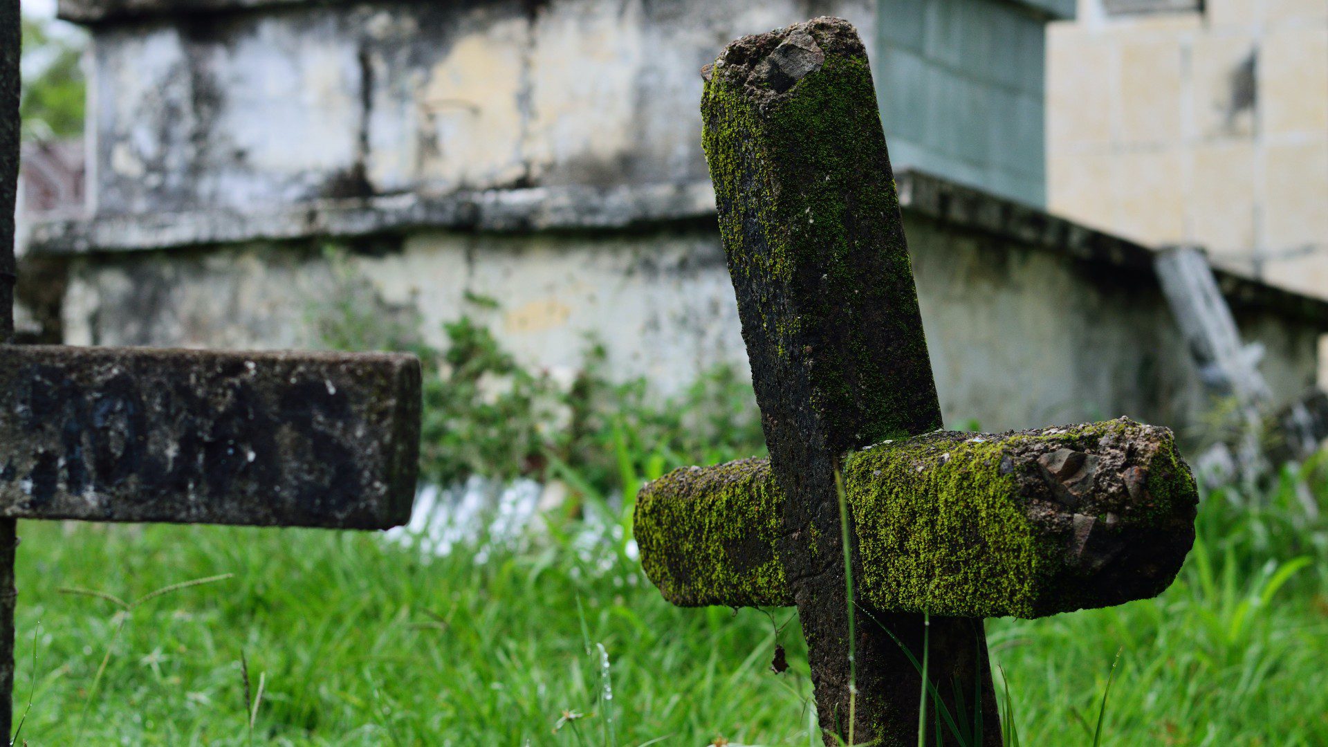 Cruz en una tumba (Foto de Miguel Padriñán - Pexels)