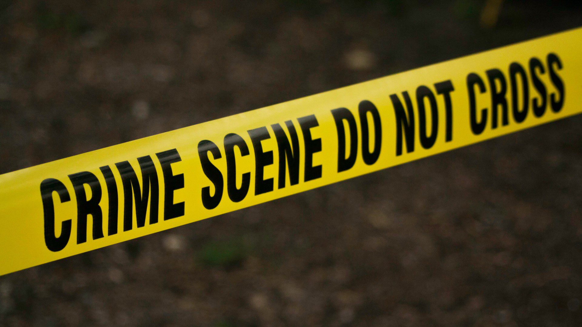 Foto referencia | Pexels: kat wilcox