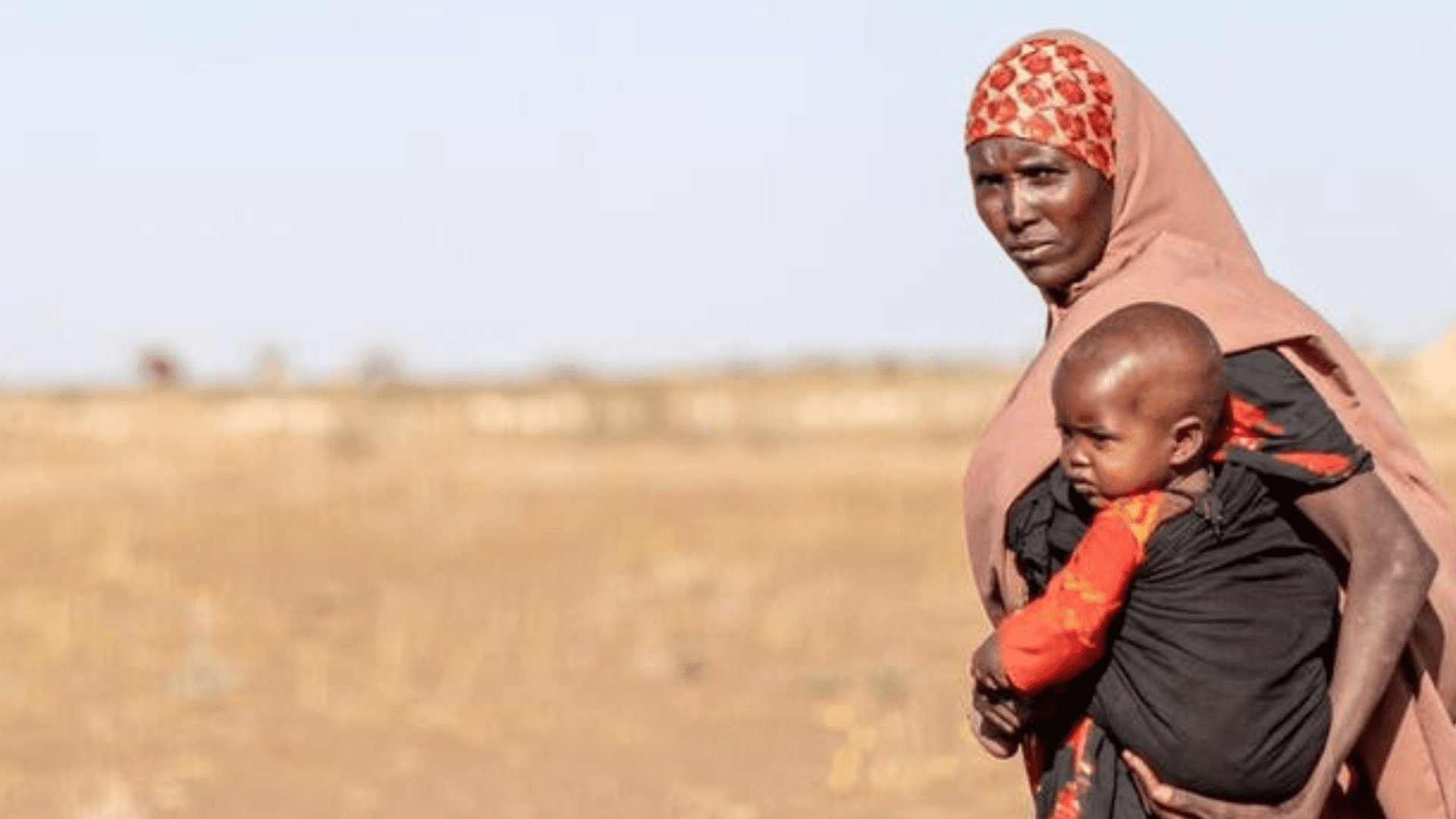 Cifra récord de 110 millones de refugiados en el mundo según Acnur Foto: Acnur