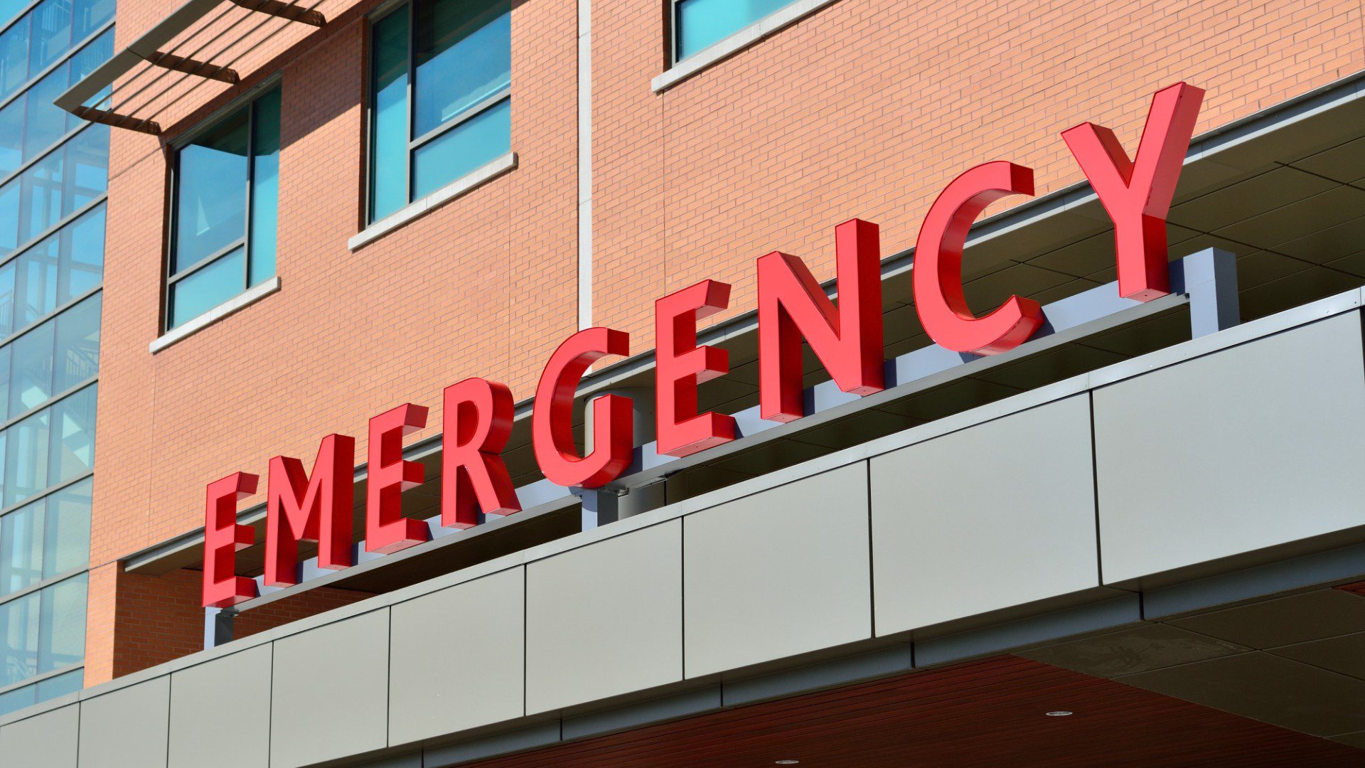 Foto referencia | Pexels: Pixabay