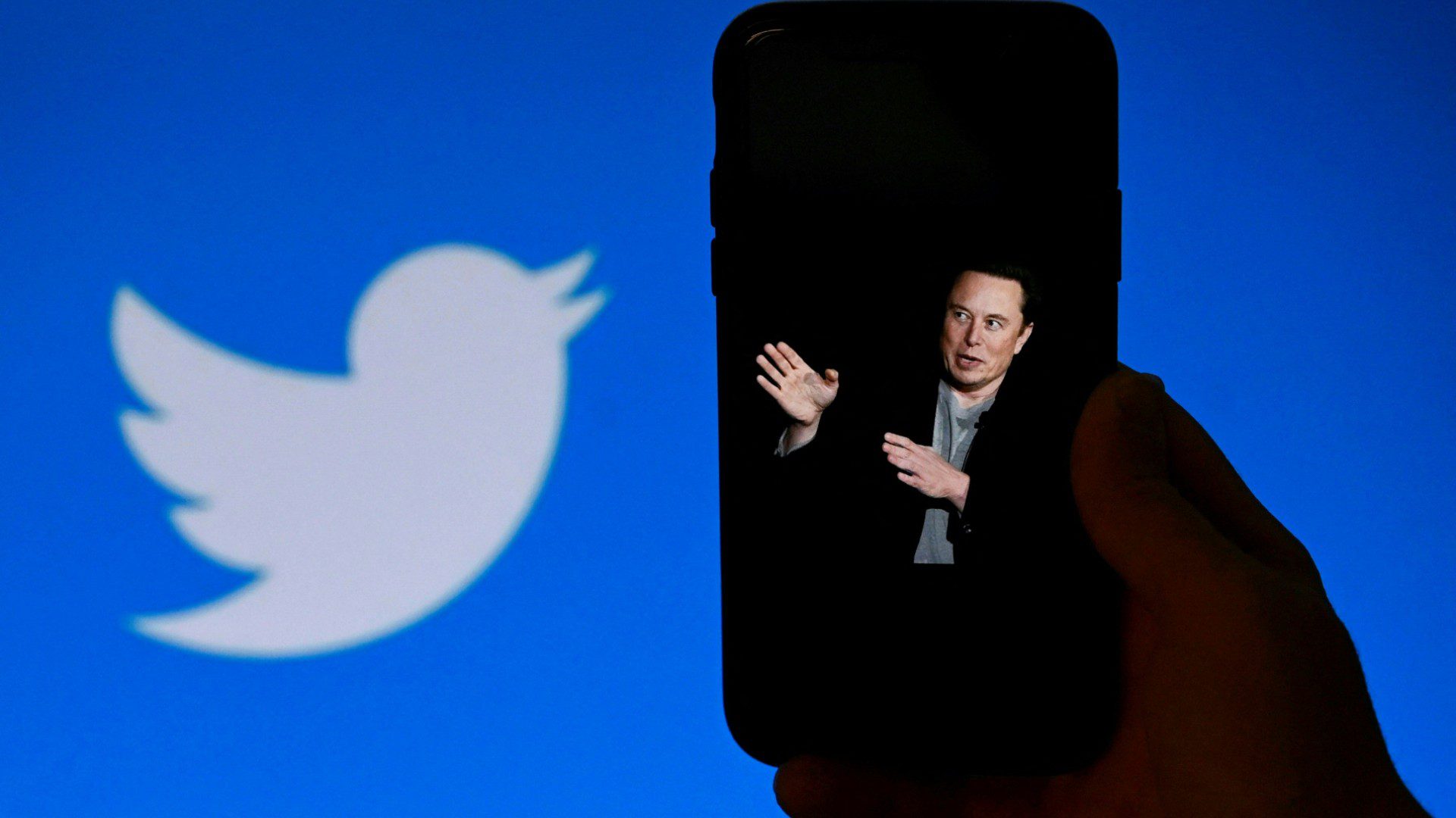 Logo de Twitter y Elon Musk - Foto: AFP