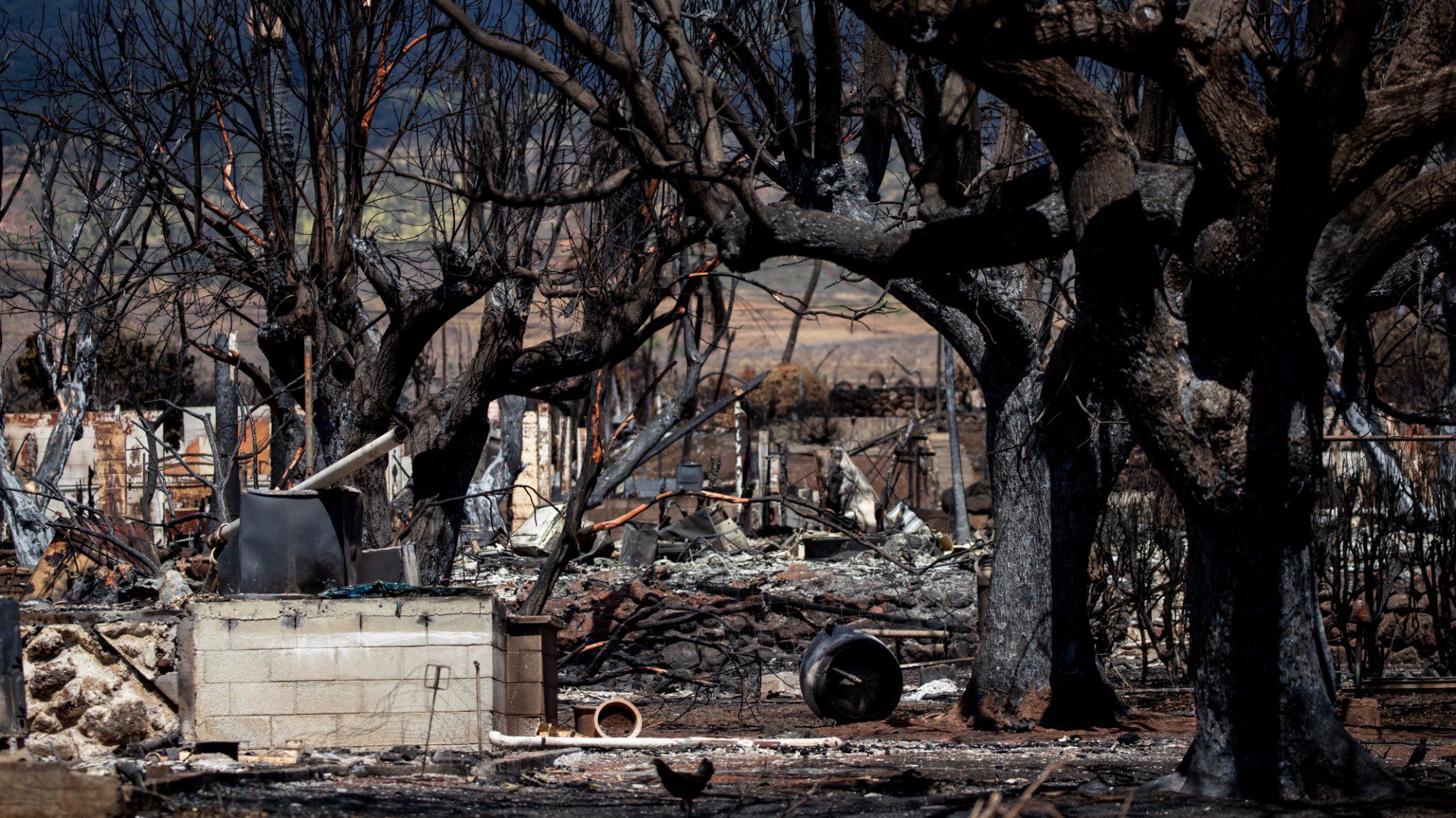 Incendios en Maui, Hawái (EFE)