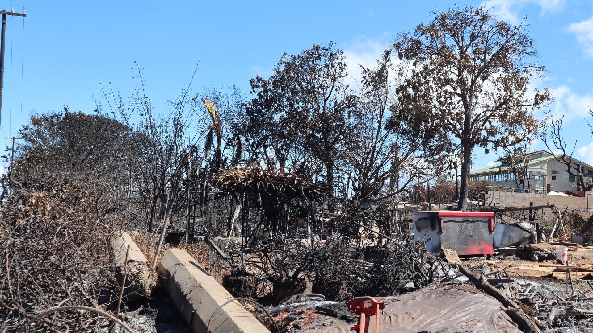 Incendios en Hawái (EFE)