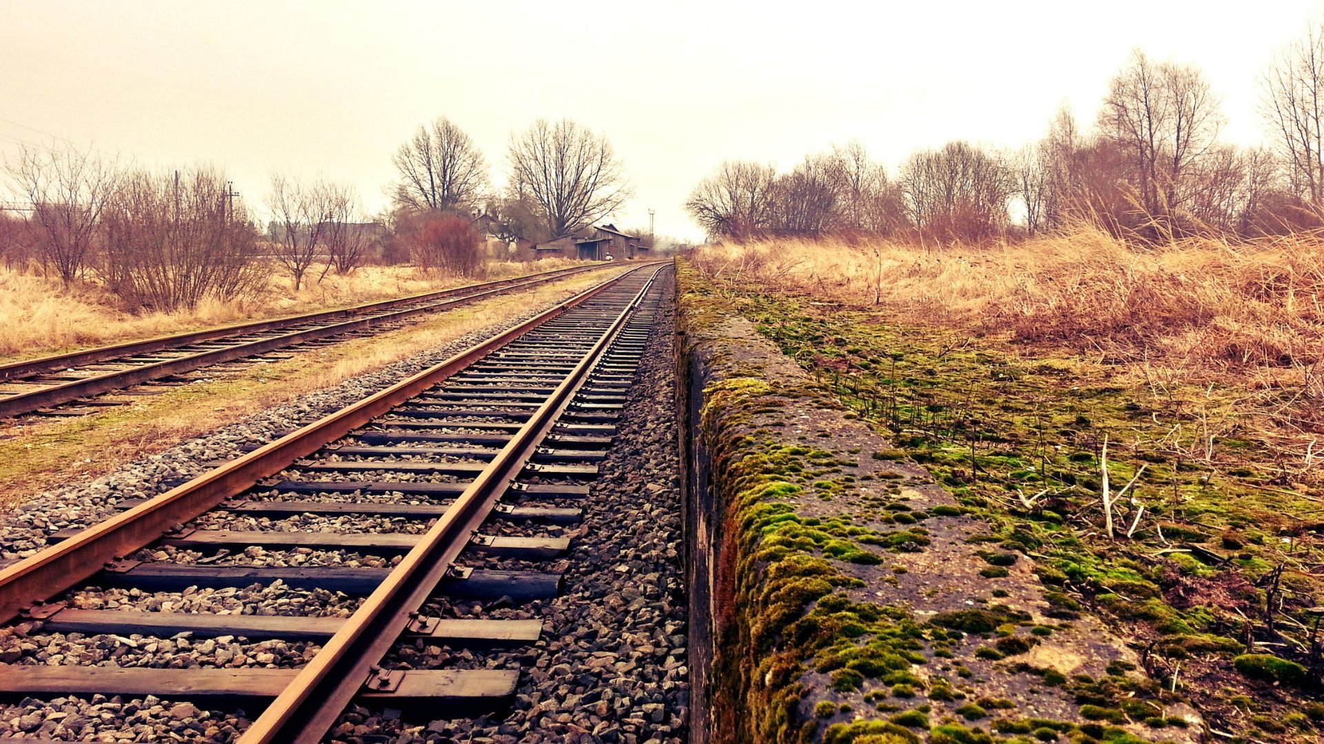 Rieles de tren - Foto de referencia: Canva Rieles de tren - Foto de referencia: Canva