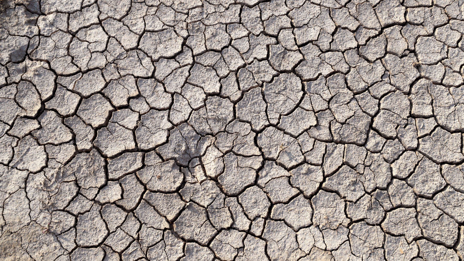 Foto de referencia de un suelo seco (EFE)