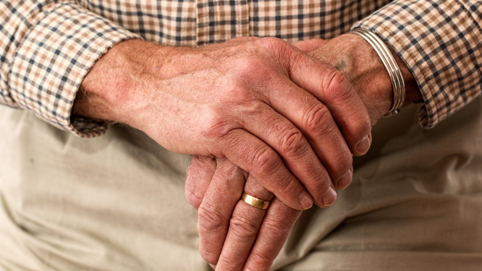 Foto referencia | Pexels: Pixabay