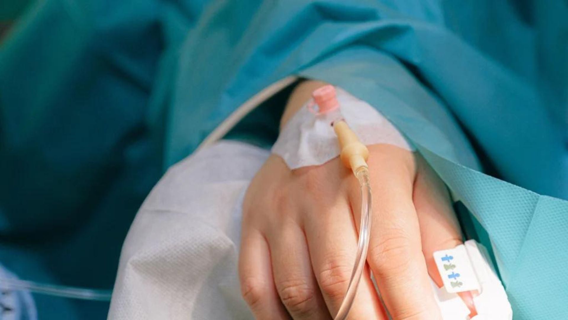 Foto referencia - Pexels: Anna Shvets