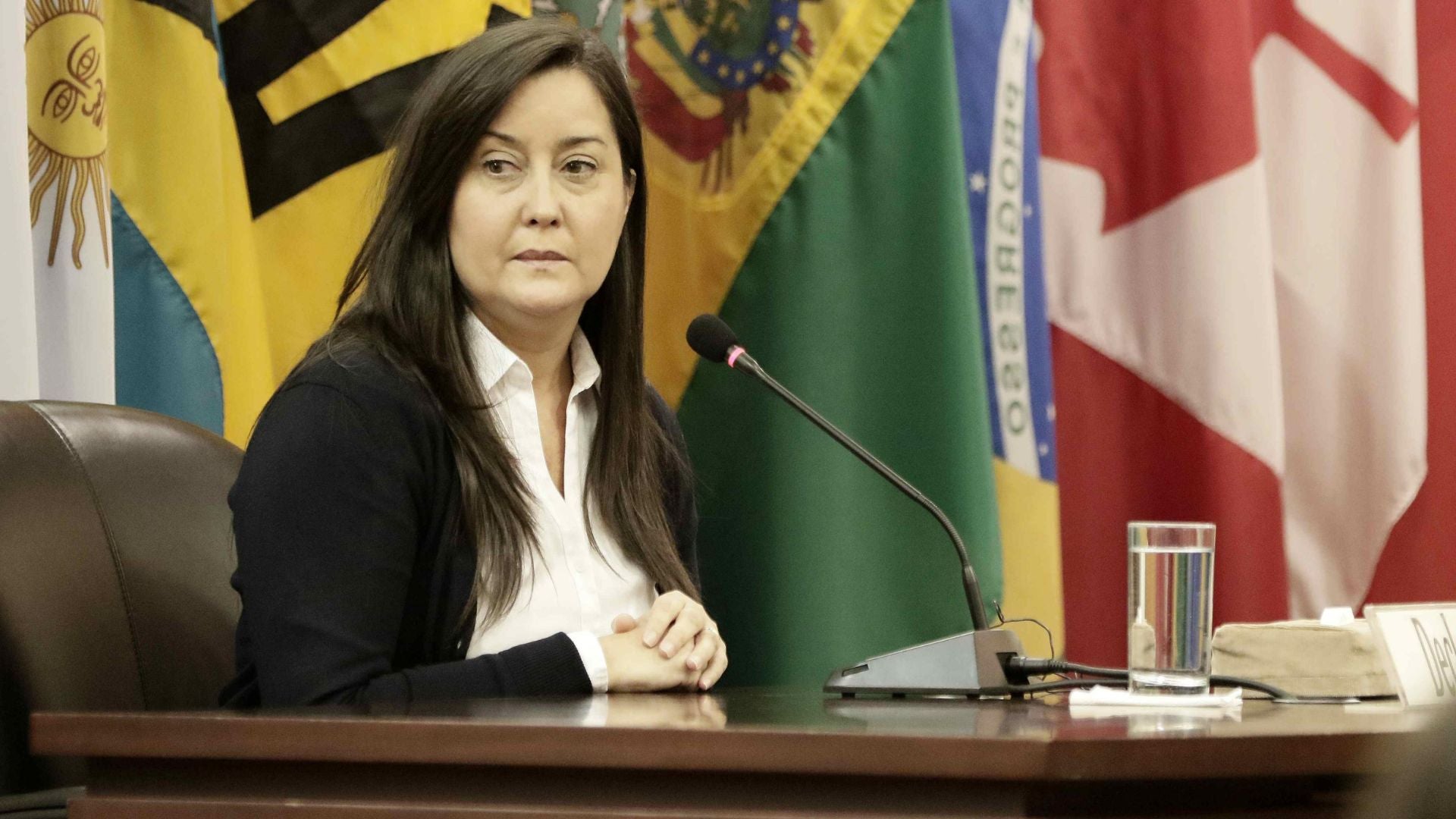 La activista venezolana Rocío San Miguel Sosa (EFE) La activista venezolana Rocío San Miguel Sosa (EFE)