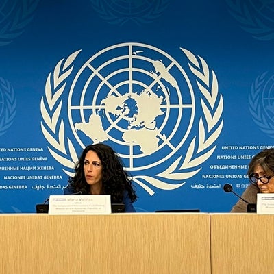 "Cualquier persona podría ser víctima": expertos de la ONU denuncian ...
