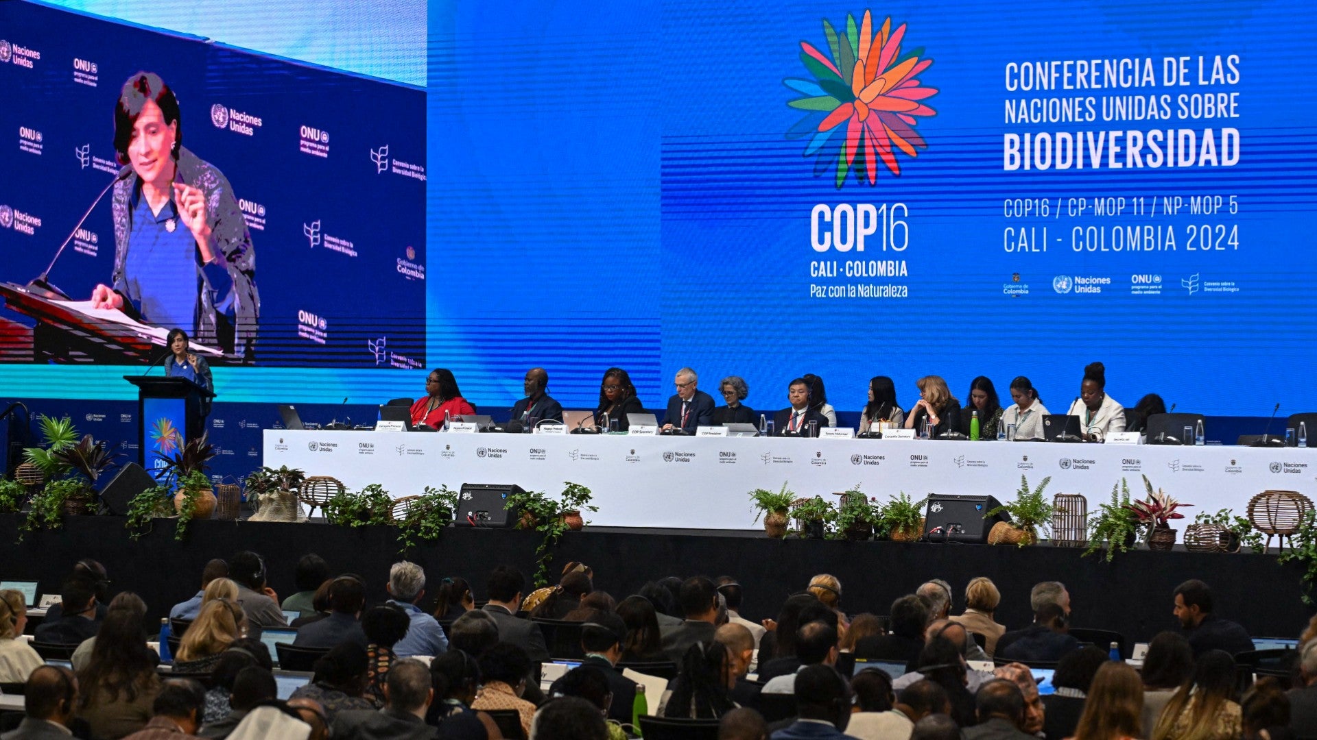 Conferencia de la COP16 (AFP)