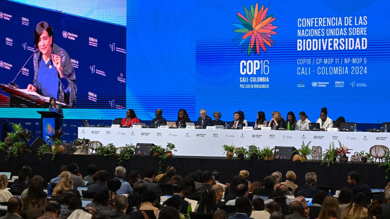 Los recursos genéticos: tema clave en el segundo día de COP16 en Cali ...