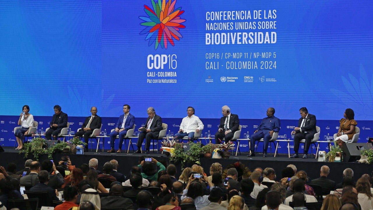 La COP16 cierra con firma de "Declaración de la Paz con la Naturaleza ...