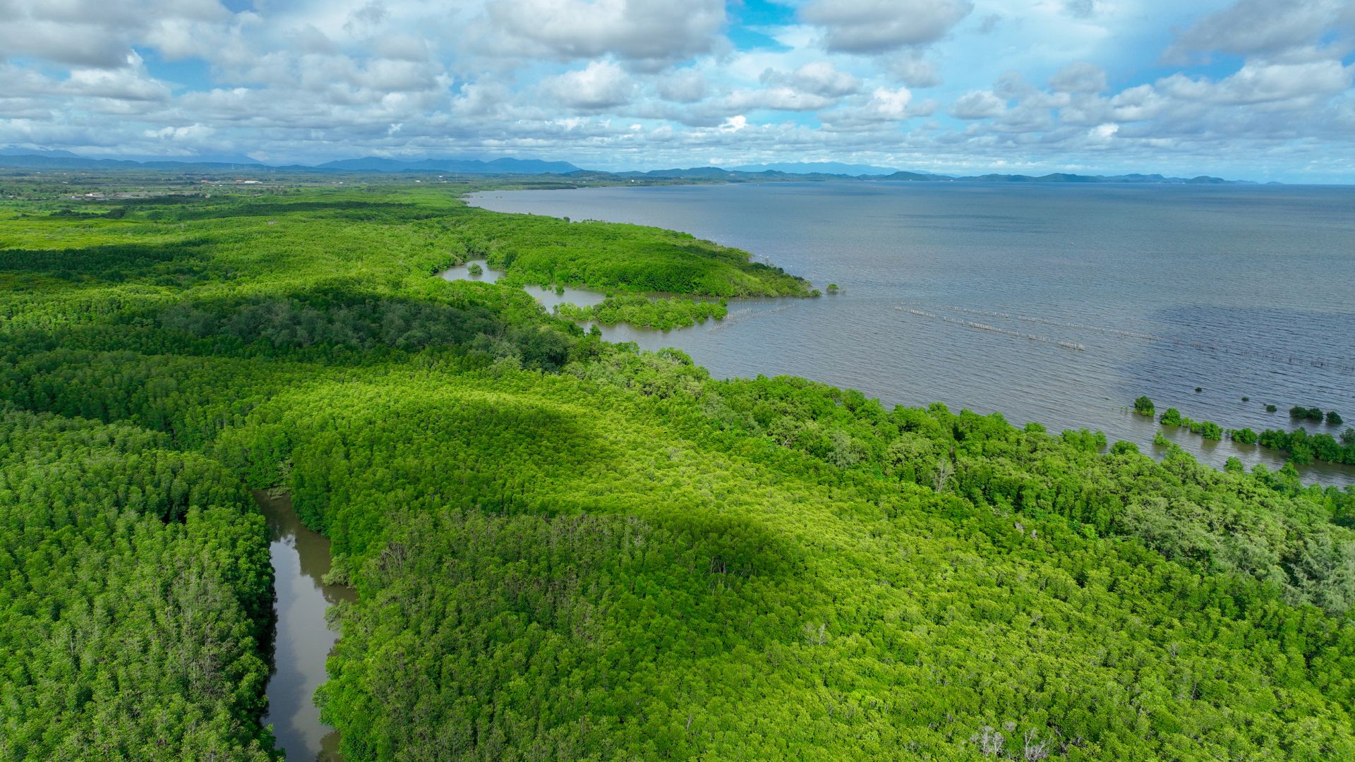 Foto de referencia (Canva)