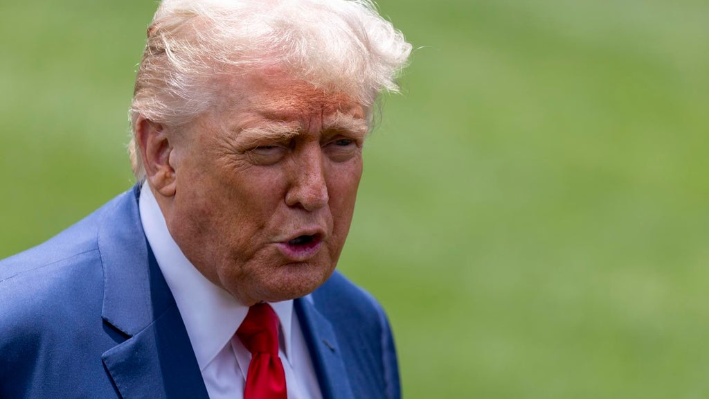 El presidente de Estados Unidos, Donald Trump. (EFE)