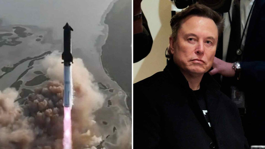 Elon Musk - AFP