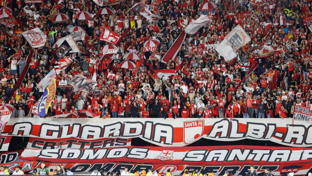 Aficionados y directivas confían en que el equipo Cardenal vuelva a ser campeón - Foto: EFE