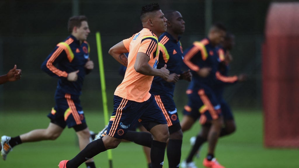 Alexander Mejía, exjugador de la selección Colombia - Foto: AFP