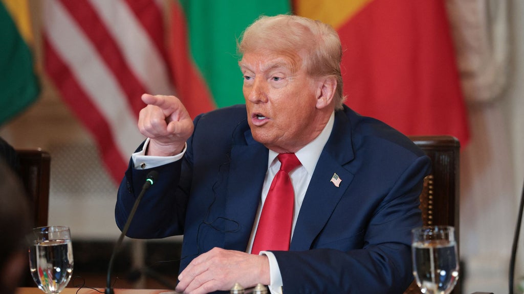 Donald Trump, presidente de EE. UU. (EFE)