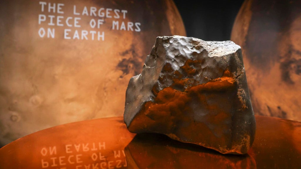 La pieza más grande de Marte en la Tierra se subastó en Nueva York - Foto EFE
