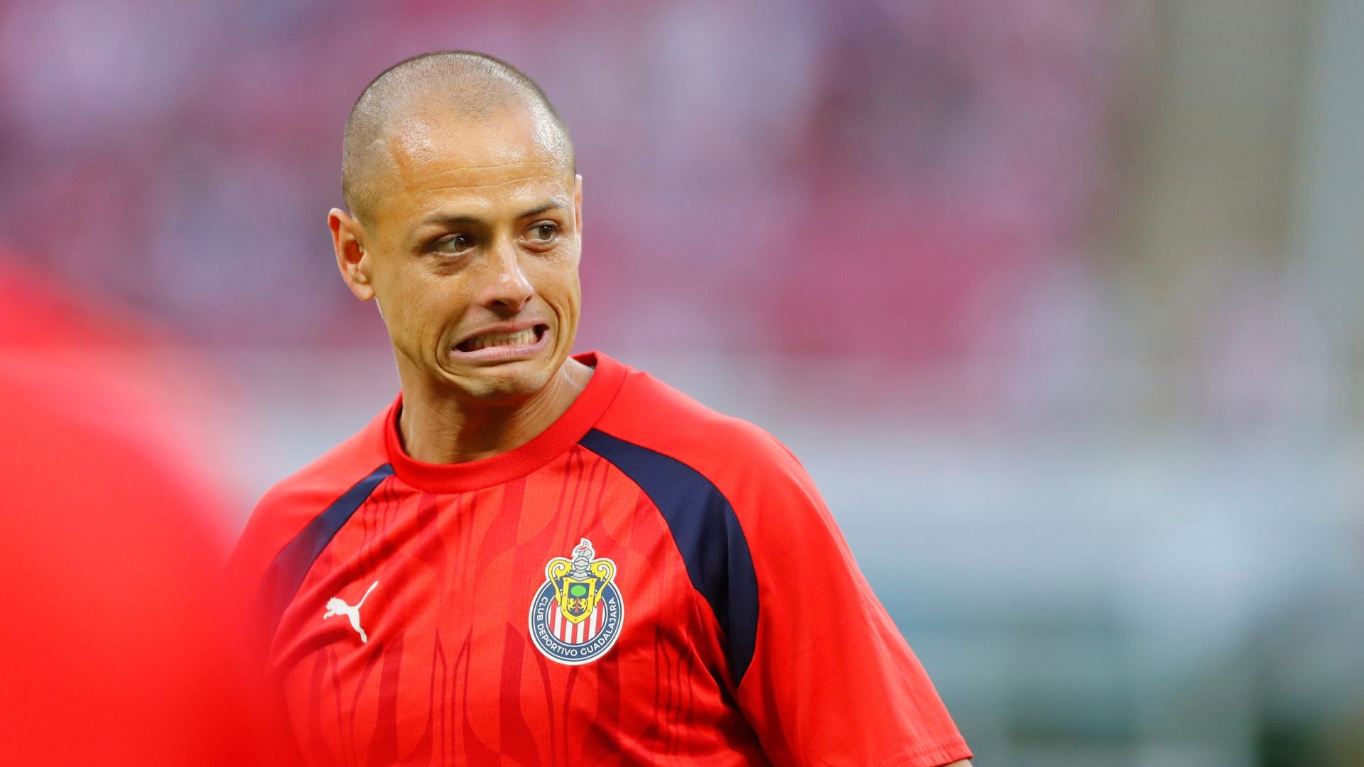 Javier 'Chicharito' Hernández - Foto EFE Javier 'Chicharito' Hernández - Foto EFE