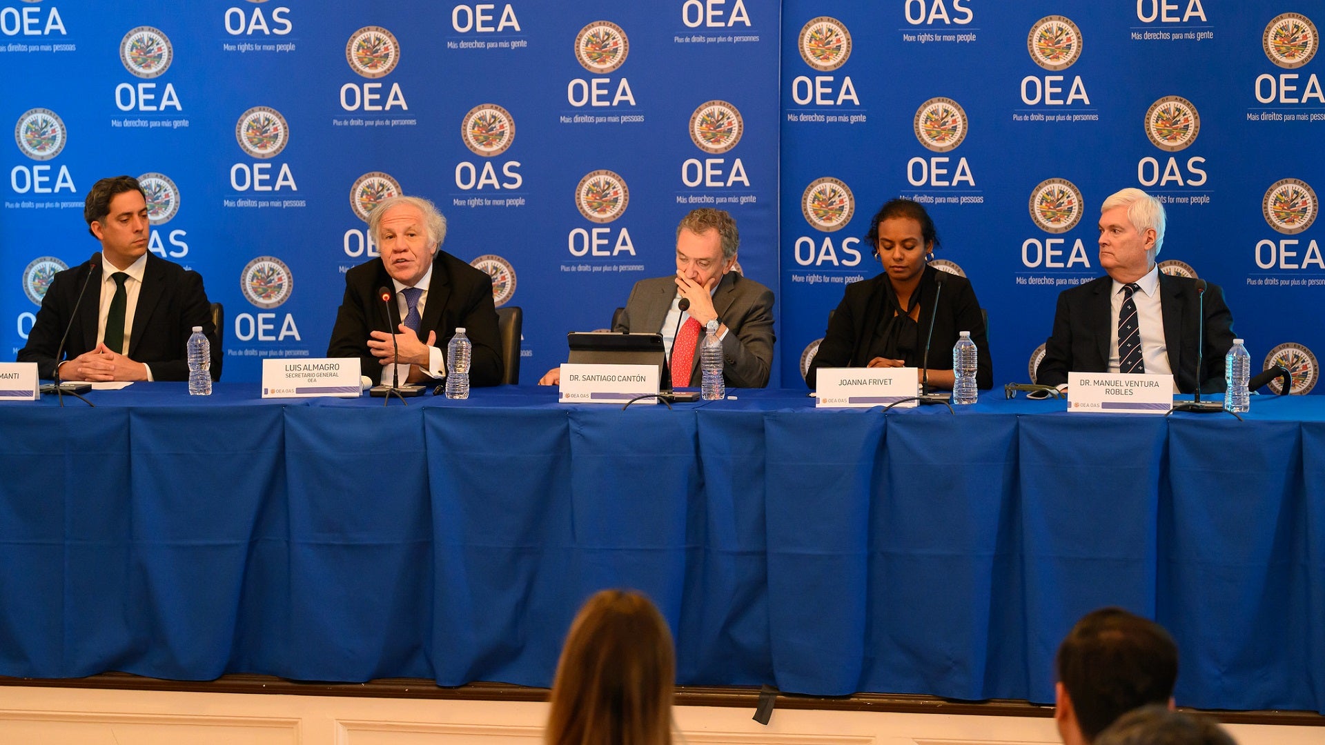 Panel OEA