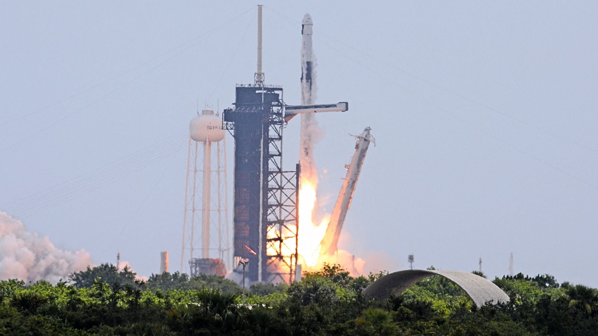 Cohete de SpaceX con cápsula que transporta misión Crew-11 - Foto AFP Cohete de SpaceX con cápsula que transporta misión Crew-11 - Foto AFP