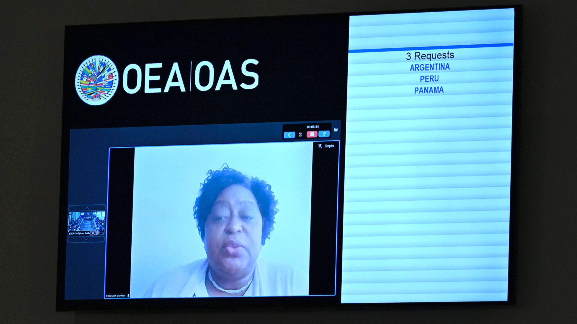 Gloria de Mees CIDH-EFE