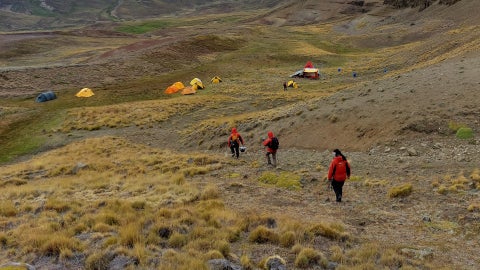 Paleontólogos trabajando en el valle del Río de la Chinas, en la región de Magallanes de Chile - AFP