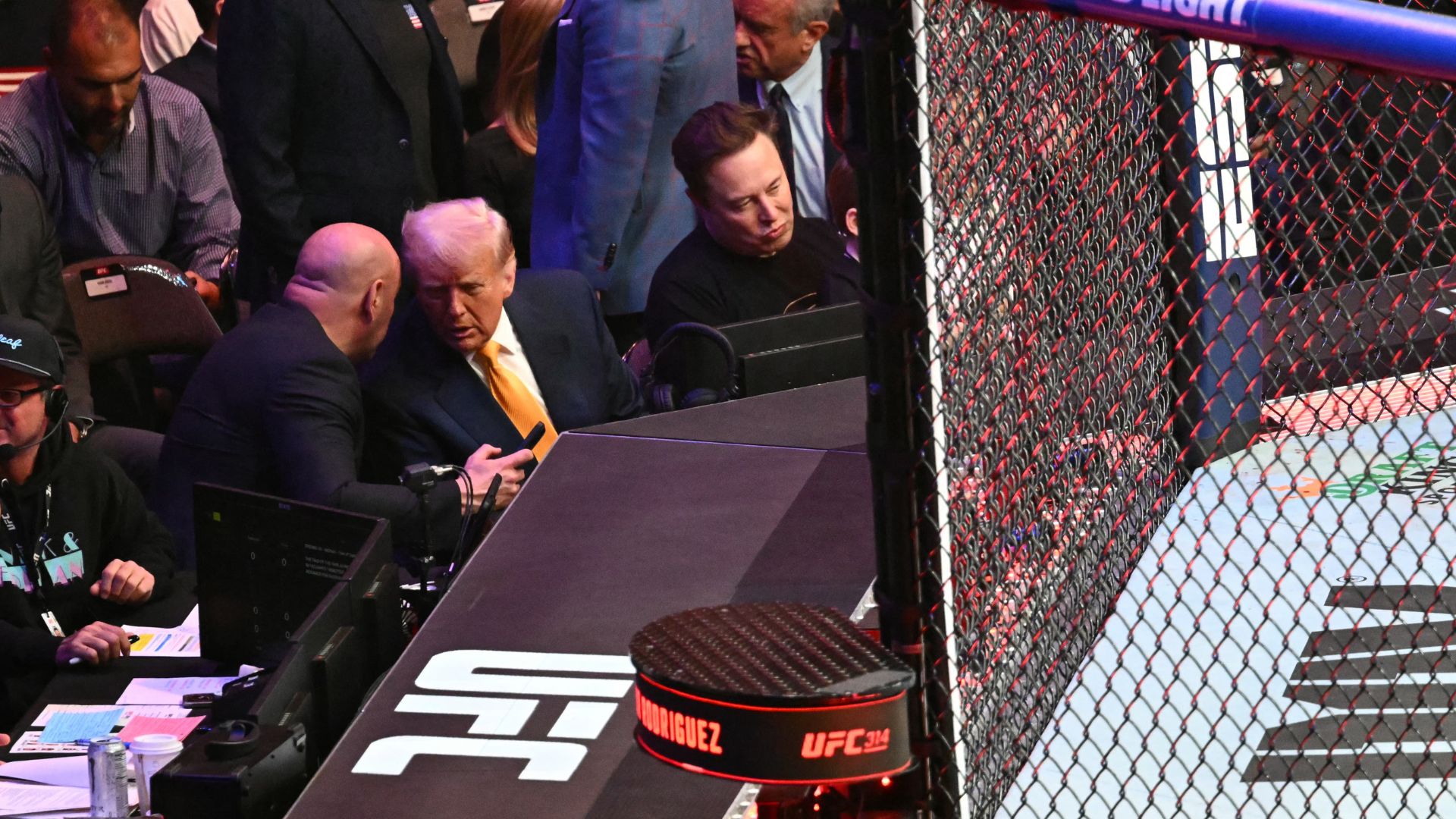 Donald Trump en una pelea de la UFC (AFP)