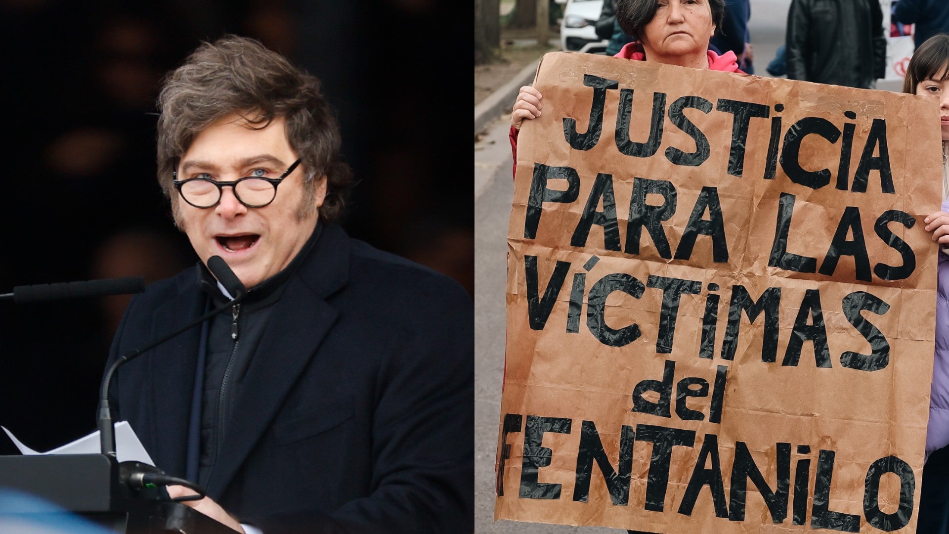 Javier Milei, presidente de Argentina y una mujer manifestando - Fotos: EFE