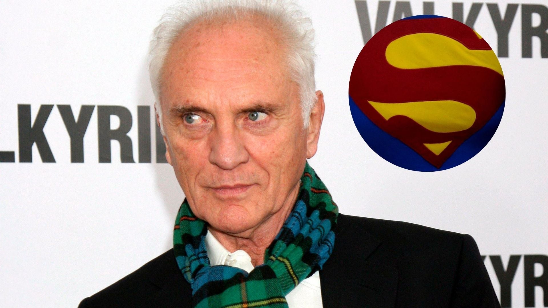 El actor británico Terence Stamp-Foto: EFE