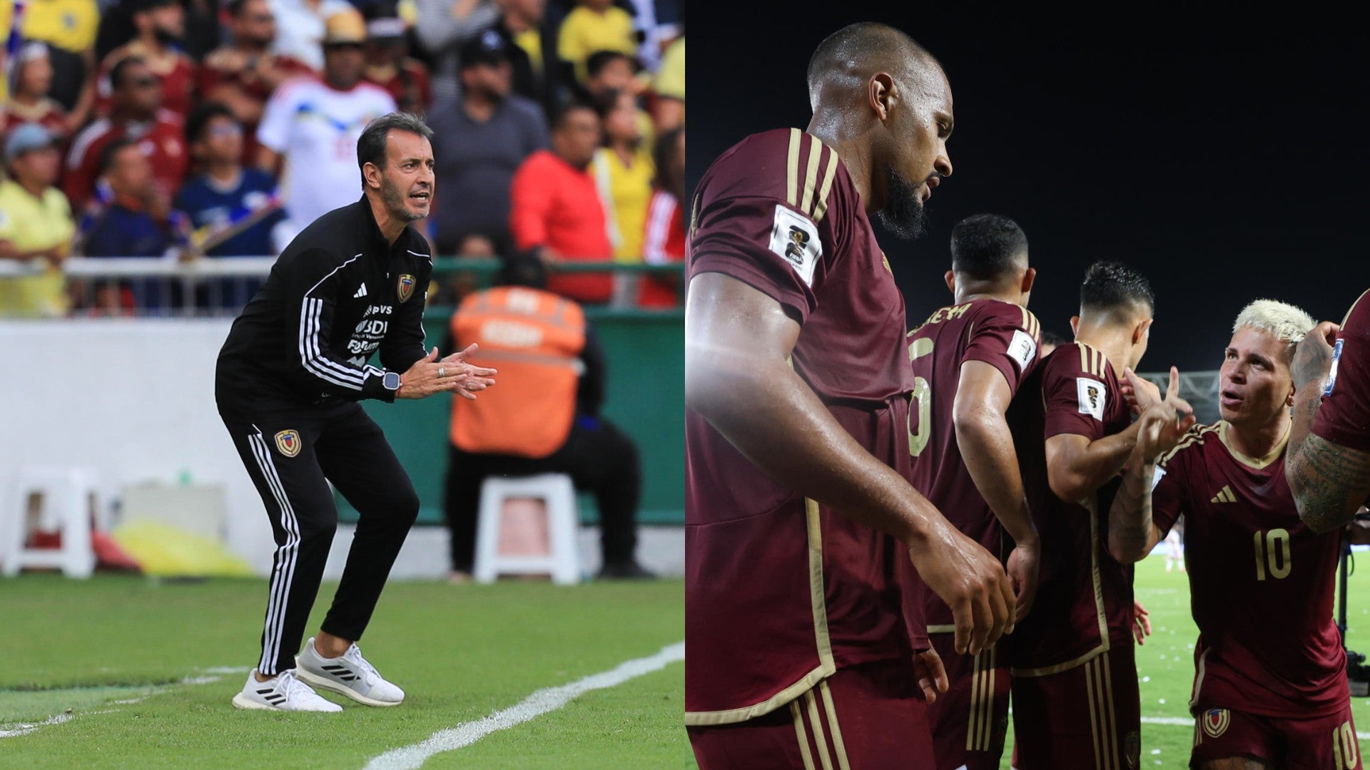 Fernando Batista, entrenador de la selección venezolana - Foto: EFE
