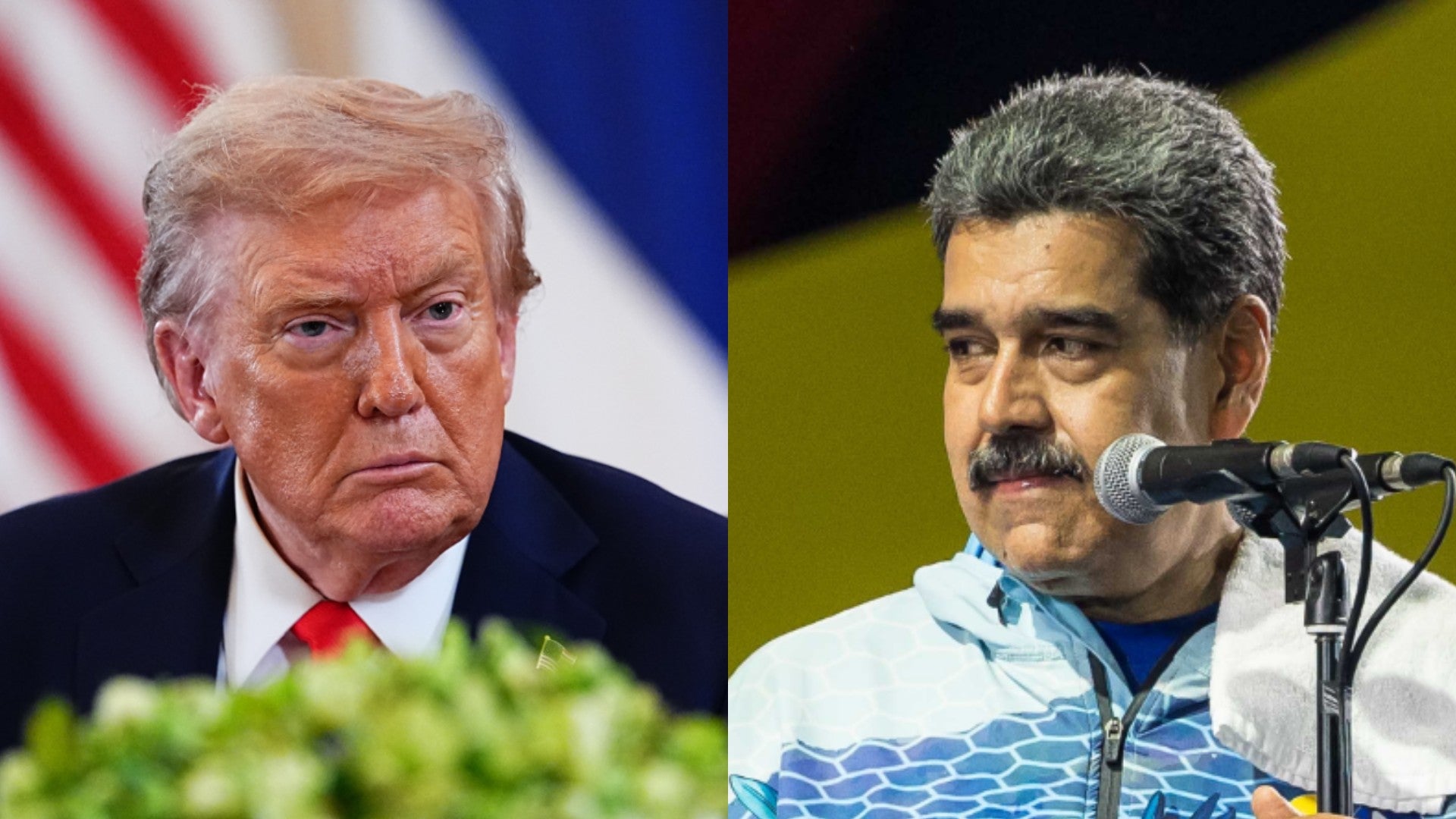 ipiccy_imageertetr ym