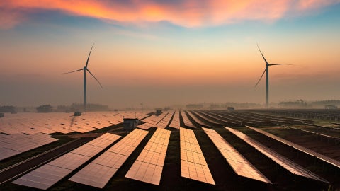 Planta solar - Foto: Canva