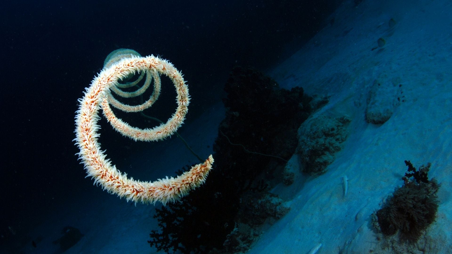 Estas son nuevas pistas sobre el pasado del continente y su vulnerabilidad frente al cambio climático | Foto Canva