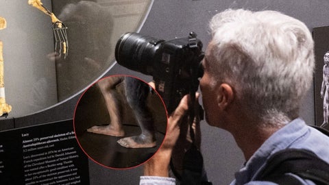 Exposición de 'Lucy' en Praga - Fotos AFP