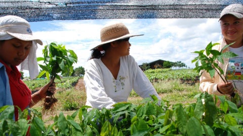 Mujer Rural - Foto: Canva
