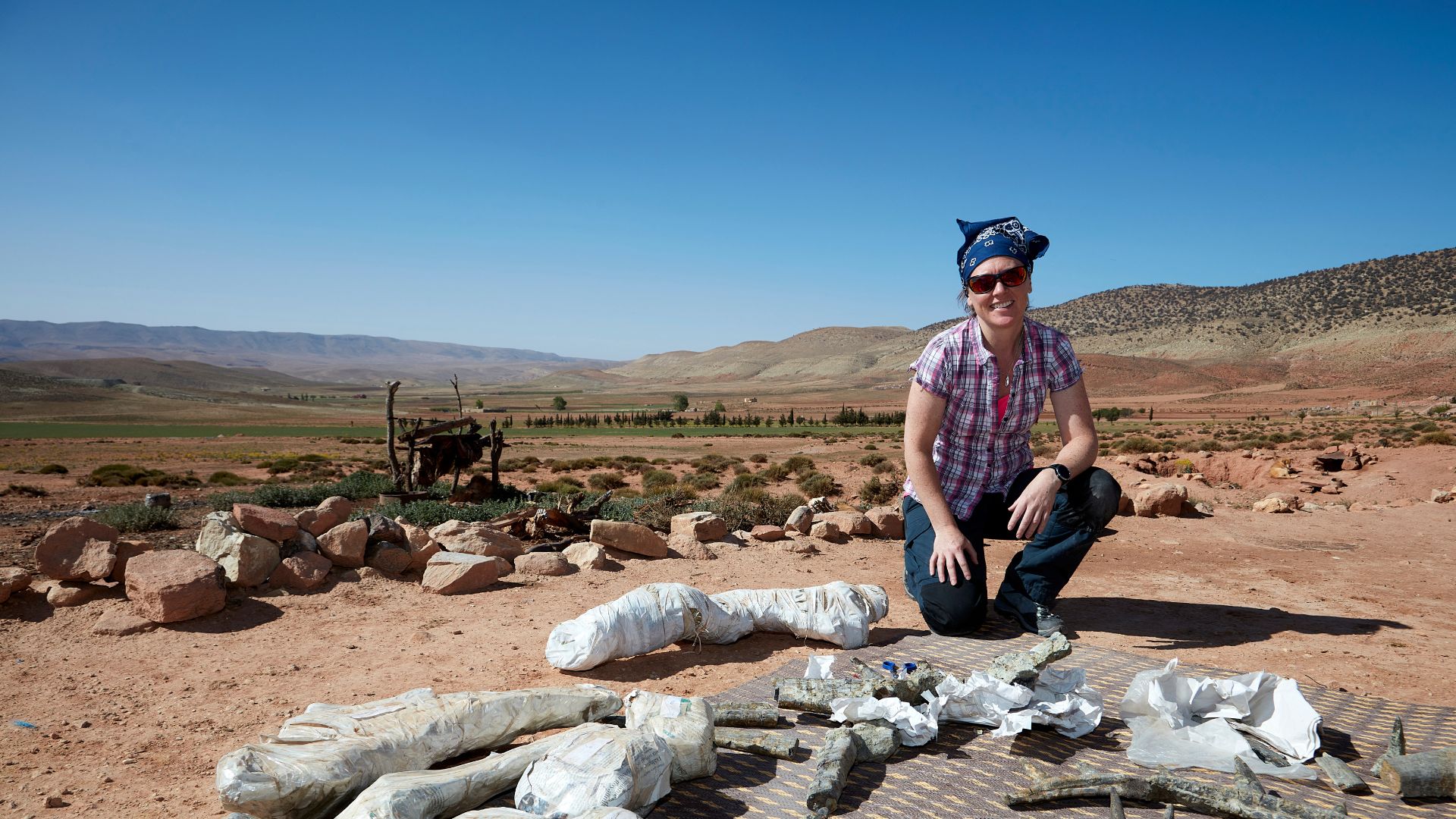 Descubren en Marruecos dinosaurio con extraña armadura de púas jamás vista en la historia - Foto AFP