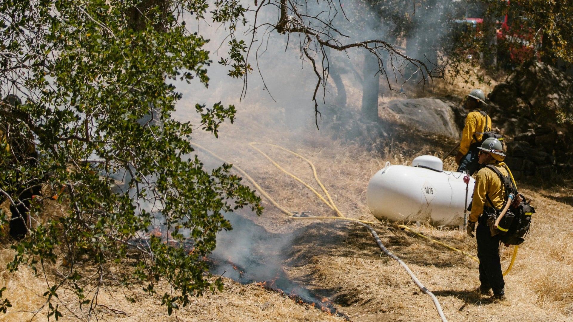 Socorristas - Foto de referencia: Pexels