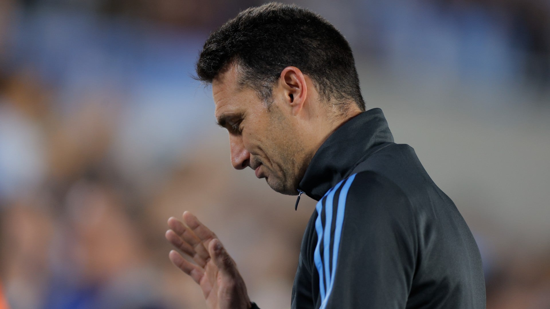 Lionel Scaloni, DT de la Selección de Argentina - Foto de referencia: EFE Lionel Scaloni, DT de la Selección de Argentina - Foto de referencia: EFE