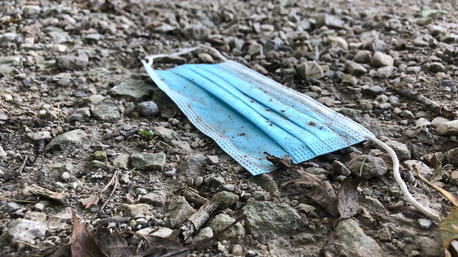 Pandemias más letales de la historia | Foto Canva