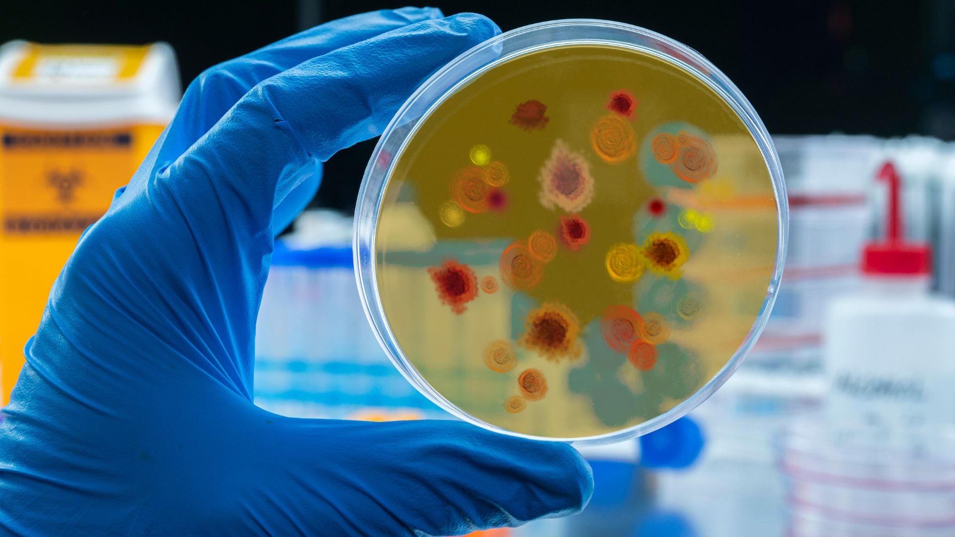 Científicos | Foto Canva