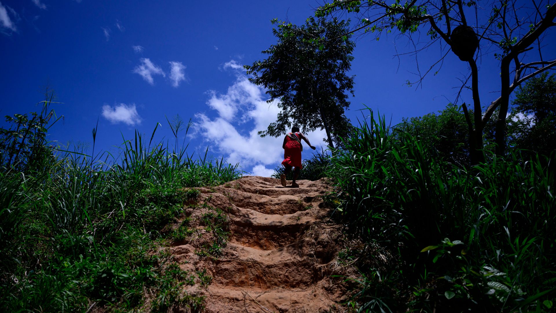 COP30 Brasil - Foto: AFP