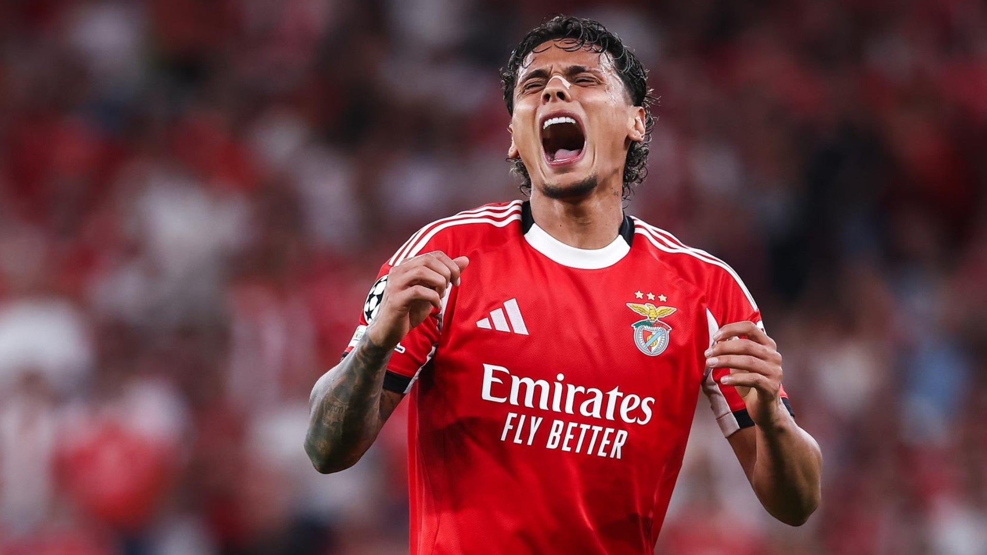 Richard Ríos, jugador del Benfica / FOTO: EFE