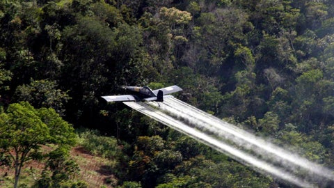Fumigación aérea en Colombia - Foto EFE
