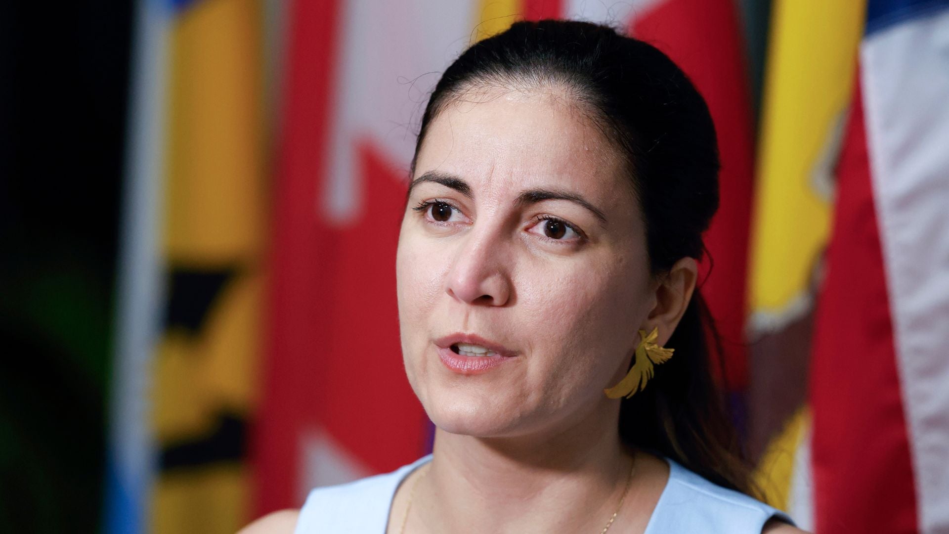 Rosa María Payá, electa como miembro de la Comisión Interamericana de Derechos Humanos - Foto EFE