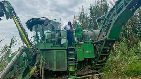 Incauca