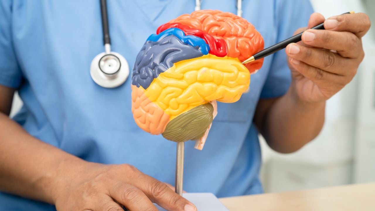 Foto de referencia: Canva