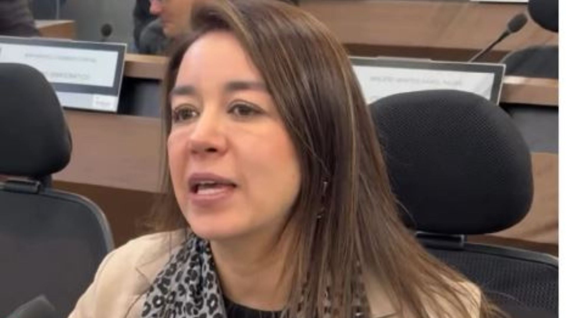 Diana Diago, concejal de Bogotá