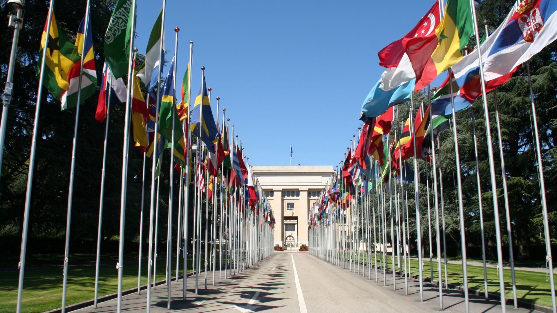 Foto de referencia: Canva